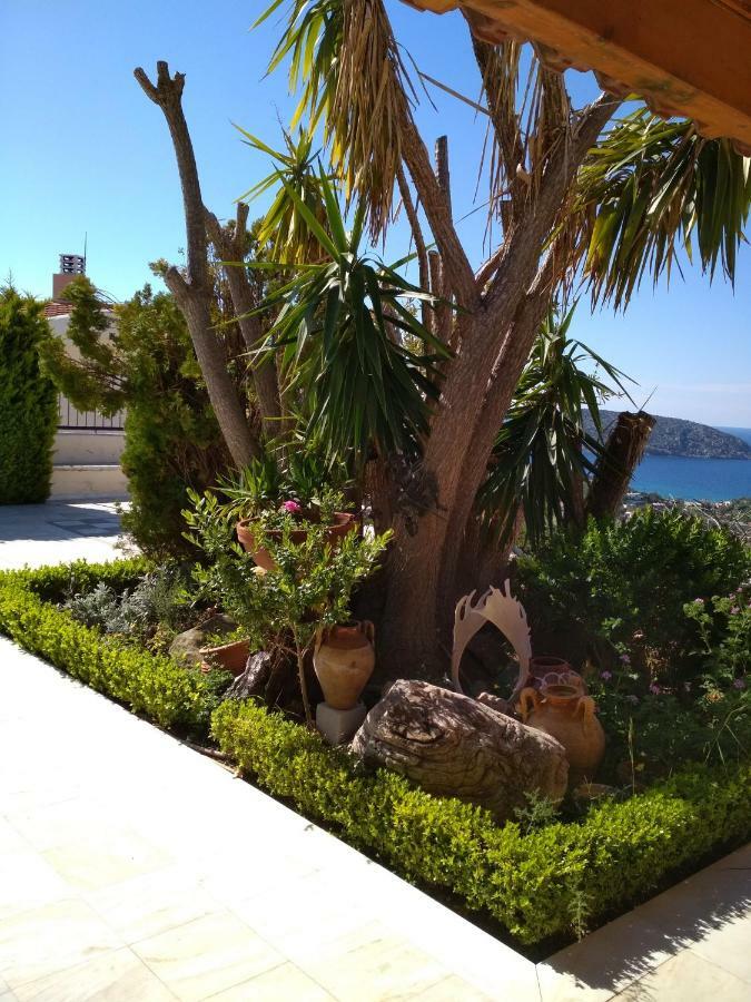 Saronic View Guest House Анависос Екстериор снимка