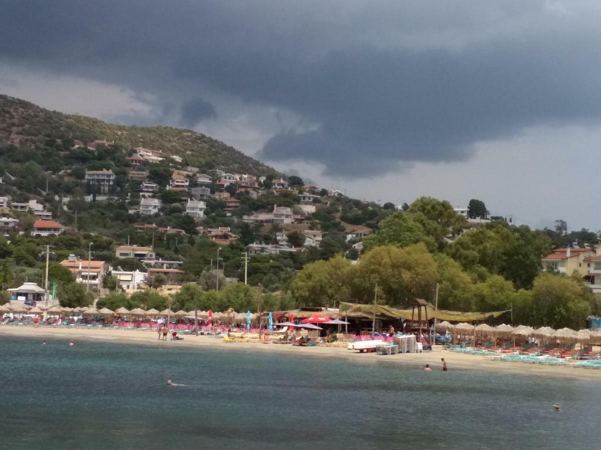 Saronic View Guest House Анависос Екстериор снимка